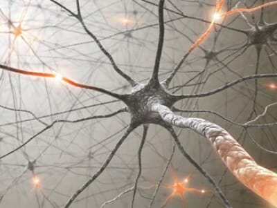 Breakthrough Replicates Human Brain Cells for Use in Alzheimer’s Research